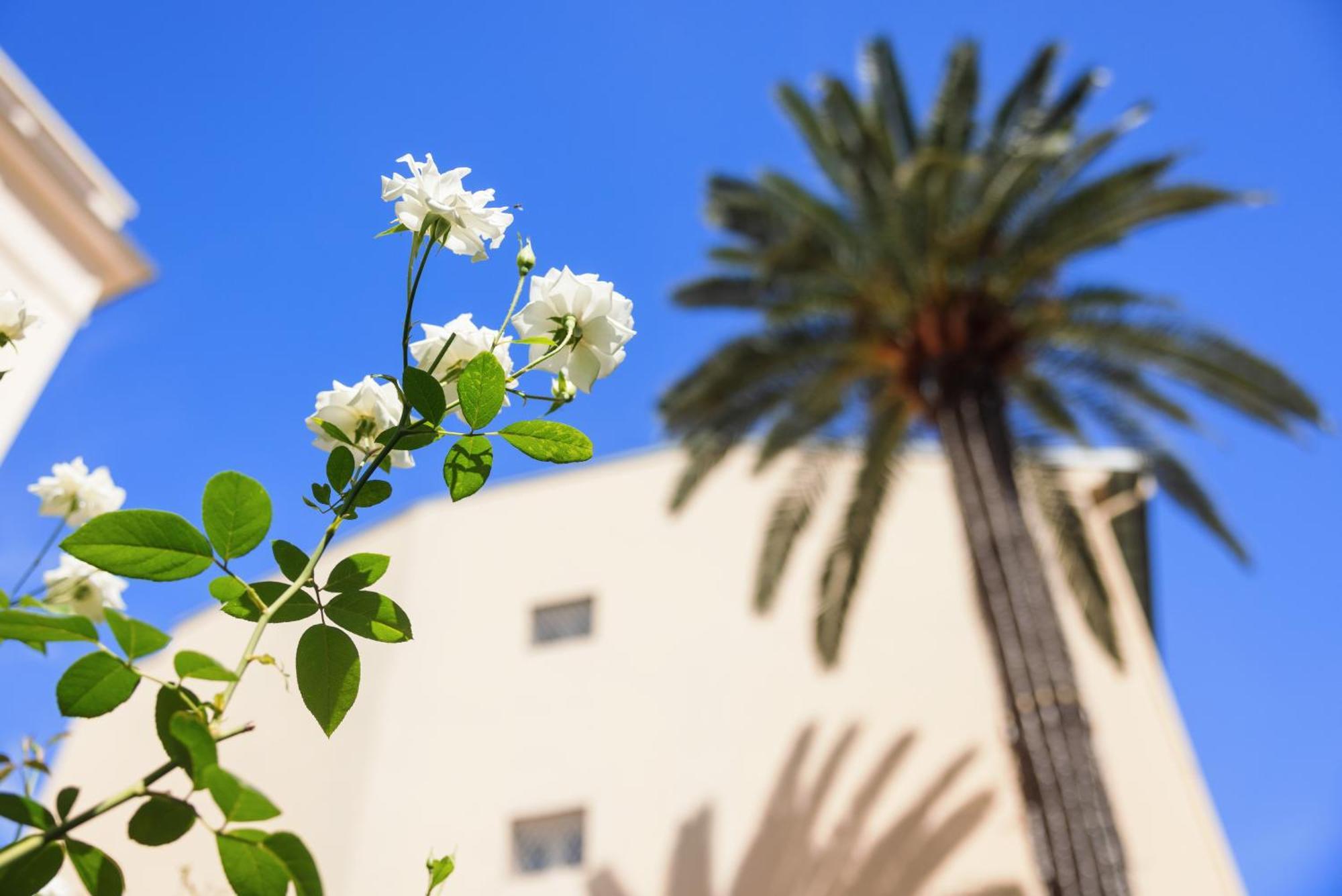 Hotel Western Brice Garden